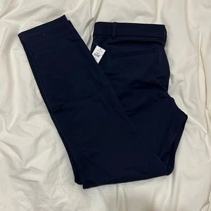 NWT Gap Navy Signature Skinny Pants